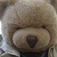 BearBipolarBear